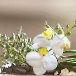 Orselina - Small Luxury Hotel Muralto