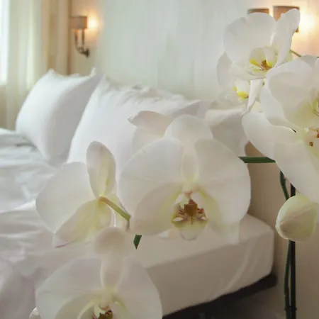 Hotel Orselina - Small Luxury Muralto