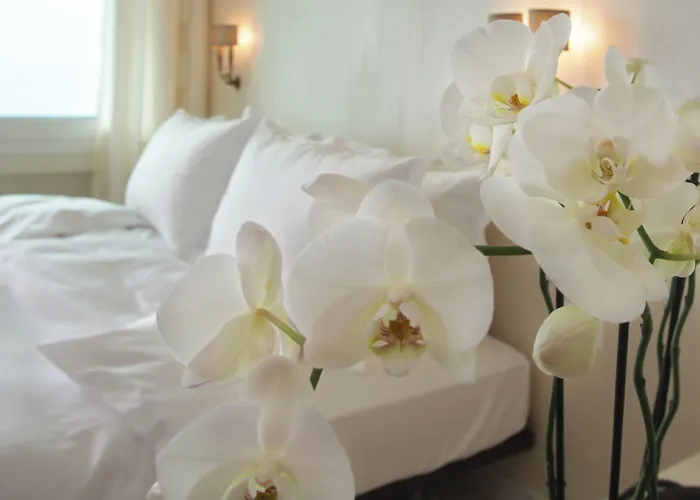 Hotell Orselina - Small Luxury Muralto